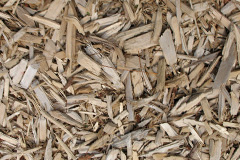 biomass boilers Pontfadog