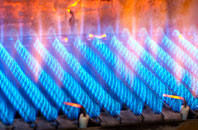 Pontfadog gas fired boilers